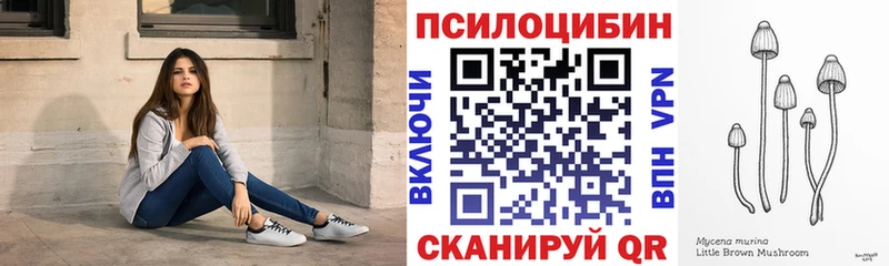 Галлюциногенные грибы Psilocybine cubensis  Купить где  Циолковский 