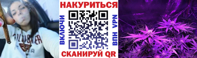 Купить где  Циолковский  Бошки Шишки гибрид 